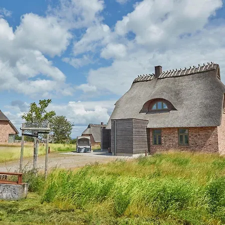 Reetdorf Geltinger Birk Kuenstlerkate Seeadler Holiday home *